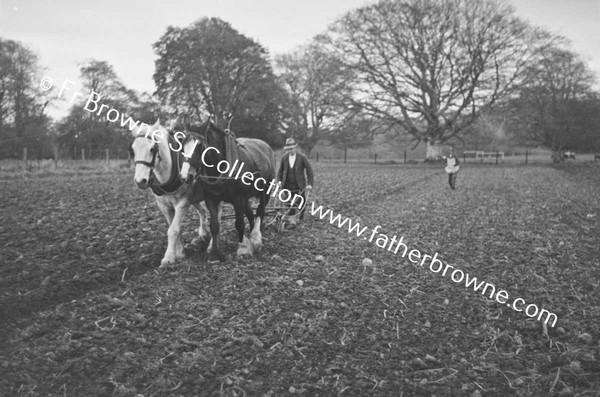 SOWING EARLY WHEAT